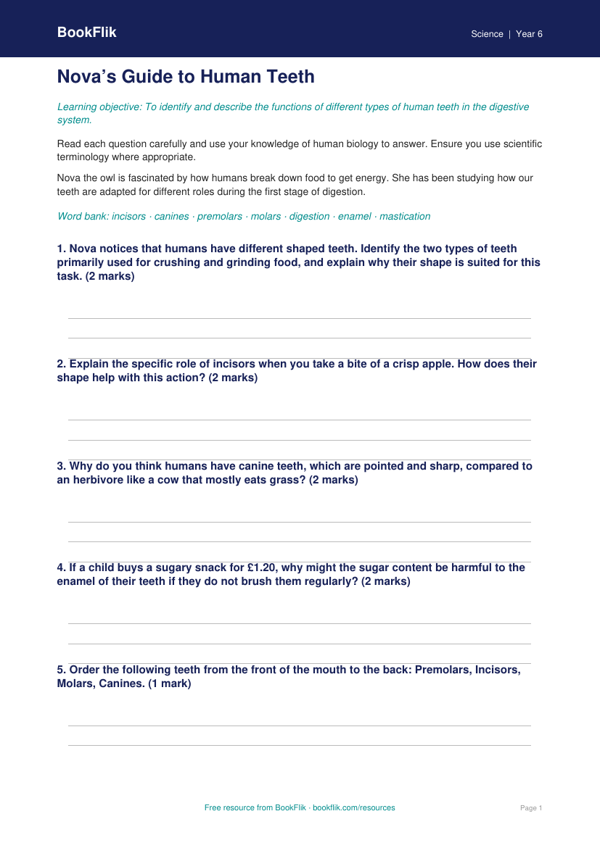 Free Teeth Worksheet | Grade 5 | Science | BookFlik